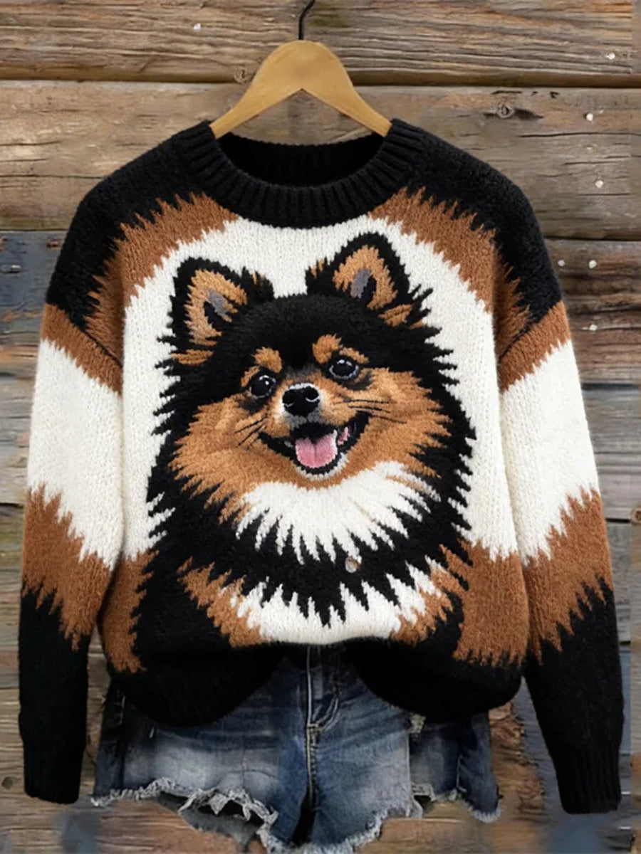 Pull confortable de couleur de contraste de chien de Pom des femmes